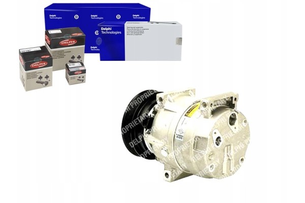 Compressor air conditioning compressor DELPHI TSP0155137 Quality of parts according to GVO Q original with factory logo OEM OES