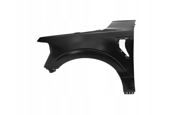 FORD F 150 21 MUDGUARD