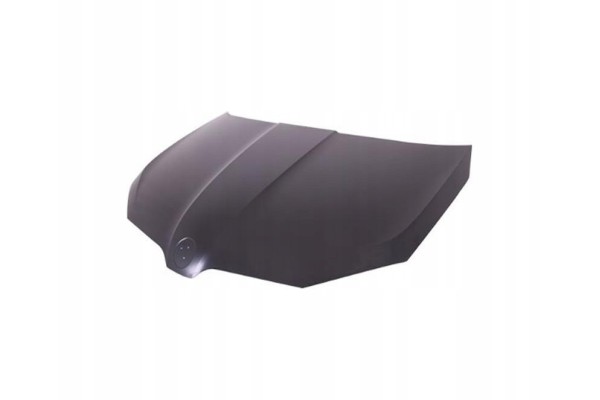 SKODA FABIA 2014 MASK