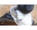 Opel Vivaro B TRAFIC III TOWBAR 321391 Catalog number of substitutes 10R047492