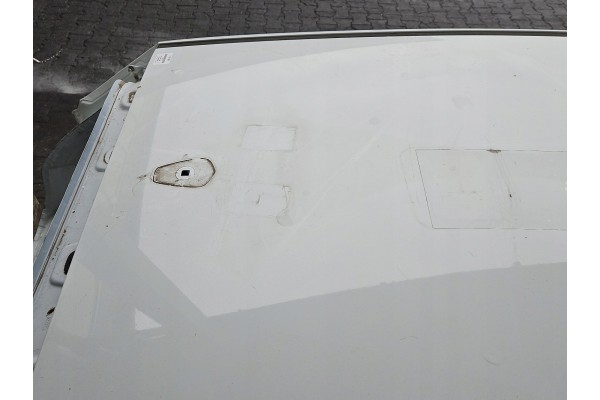 ROOF DACIA SANDERO III 20 HB WHITE DV369 Color white