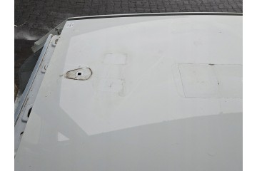 ROOF DACIA SANDERO III 20 HB WHITE DV369 Color white