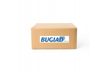 BUGIAD BSP25482 COLLECTOR CITROEN 1 6THP C4 C5 508 308