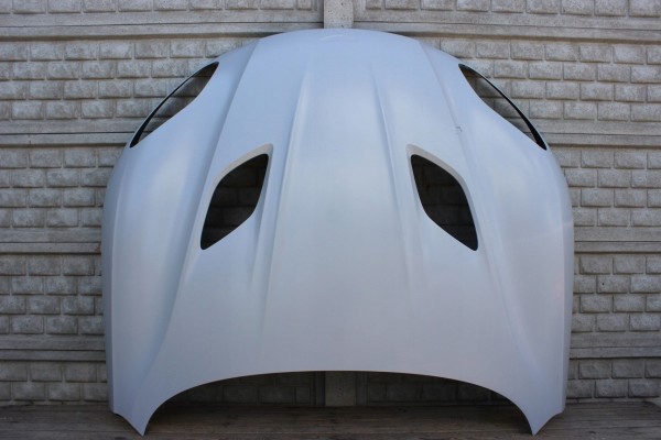 Front mudguard mask Aston Martin DBS Superleggera 18 24 CARBON OEM NEW