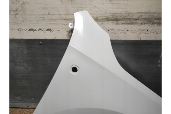 MUDGUARD RIGHT SKODA RAPID 2012 COLOUR LAMB WITH FLASHER HOLE LB9A Catalog number of the part BOTNIK PRAWY SKODA RAPID 2012 KOLO