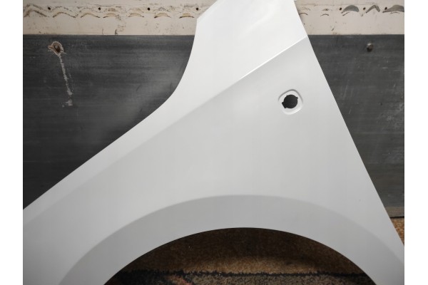 mudguard left Skoda rapid 2012 colour WITH FLASHER HOLE LACQUER LF9F Car type passenger cars