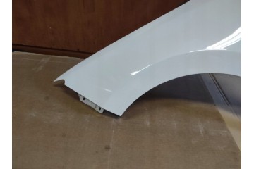 MUDGUARD LEFT SKODA RAPID 2012 WITHOUT FLASHER HOLE LACQUER LF9F Car type passenger cars
