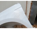 MUDGUARD LEFT RENAULT CLIO V 5 BEFORELIFT bja 08 19 06 23R LACQUER OV369 Part manufacturer Polcar