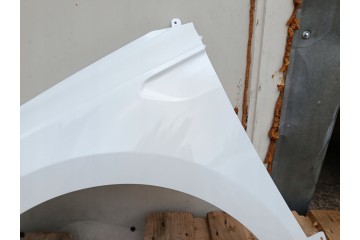 MUDGUARD LEFT RENAULT CLIO V 5 BEFORELIFT bja 08 19 06 23R LACQUER OV369 Part manufacturer Polcar