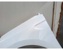MUDGUARD LEFT RENAULT CLIO V 5 BEFORELIFT bja 08 19 06 23R LACQUER OV369 Installation side front left