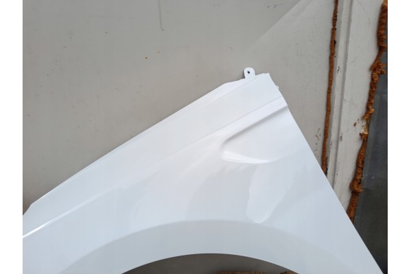 MUDGUARD LEFT RENAULT CLIO V 5 BEFORELIFT bja 08 19 06 23R LACQUER OV369 Installation side front left
