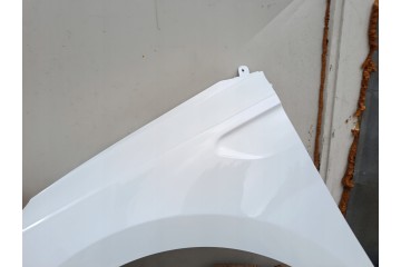 MUDGUARD LEFT RENAULT CLIO V 5 BEFORELIFT bja 08 19 06 23R LACQUER OV369 Installation side front left