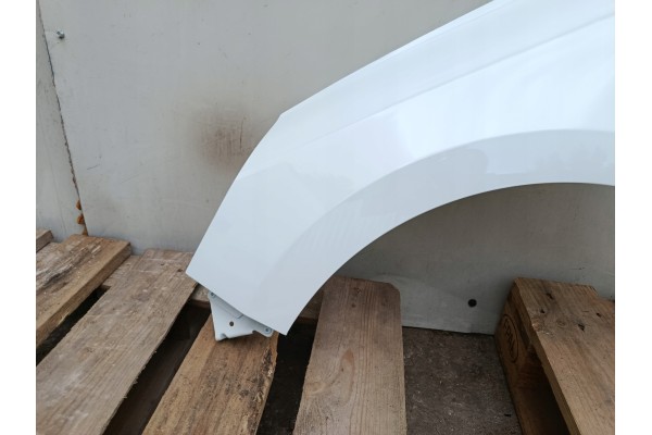 MUDGUARD LEFT RENAULT CLIO V 5 BEFORELIFT bja 08 19 06 23R LACQUER OV369 Car type passenger cars