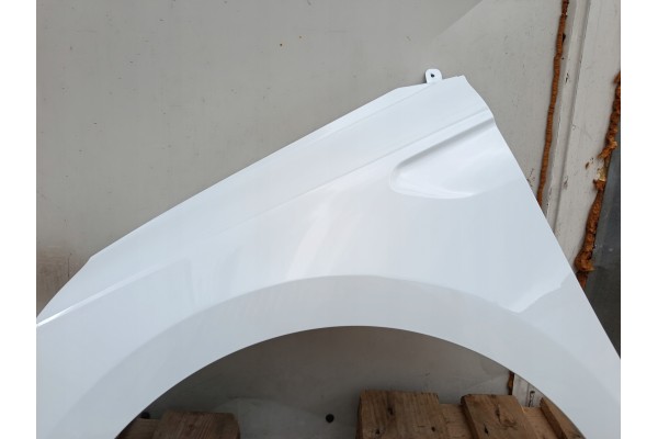 MUDGUARD LEFT RENAULT CLIO V 5 BEFORELIFT bja 08 19 06 23R LACQUER OV369 Quality of parts according to GVO P replacement with or