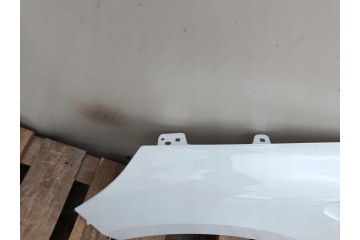 Aleta Izquierda Renault Clio V 5 Pre-facelift bja 08.19-06.23R Pintura