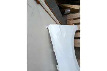 Aleta Izquierda Renault Clio V 5 Pre-facelift bja 08.19-06.23R Pintura