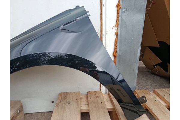 MUDGUARD LEFT RENAULT CLIO V 5 BEFORELIFT bja 08 19 06 23R LACQUER GNE Part manufacturer Polcar