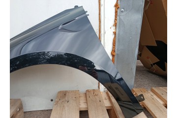 MUDGUARD LEFT RENAULT CLIO V 5 BEFORELIFT bja 08 19 06 23R LACQUER GNE Part manufacturer Polcar