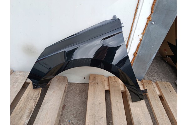 Guardabarros Izquierdo Renault Clio V 5 Pre-facelift bja 08.19-06.23R 