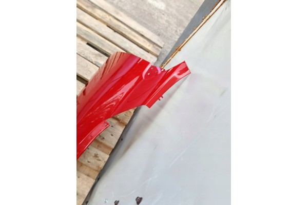 MUDGUARD RIGHT front RENAULT MEGANE III 3 X95 10 08 9 16r lacquer OV727 727 Car type passenger cars
