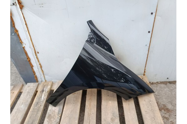 MUDGUARD RIGHT front RENAULT MEGANE III 3 X95 10 08 9 16r lacquer 676 NV676