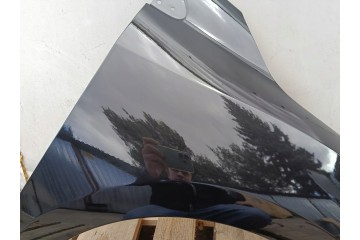 MUDGUARD RIGHT front RENAULT MEGANE III 3 X95 10 08 9 16r lacquer 676 NV676 Installation side front right