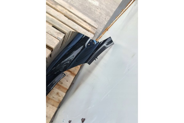Guardabarros delantero derecho RENAULT MEGANE III 3 X95 10.08-9.16 pin