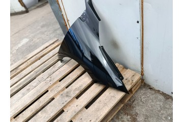 Guardabarros delantero derecho RENAULT MEGANE III 3 X95 10.08-9.16 pin