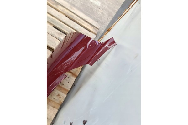 MUDGUARD RIGHT front RENAULT MEGANE III 3 X95 10 08 9 16r lacquer NNJ Installation side front right