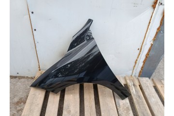 MUDGUARD LEFT front RENAULT MEGANE III 3 X95 10 08 09 16r lacquer 676 NV676