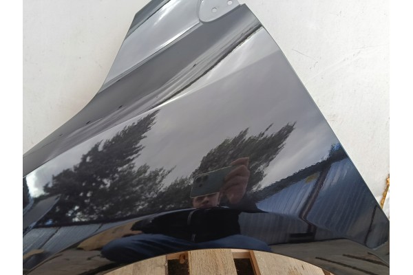 MUDGUARD LEFT front RENAULT MEGANE III 3 X95 10 08 09 16r lacquer 676 NV676 Catalog number of the part BOTNIK LEWY przod RENAULT