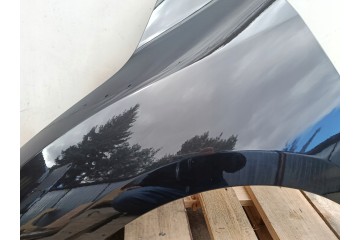 MUDGUARD LEFT front RENAULT MEGANE III 3 X95 10 08 09 16r lacquer 676 NV676 Installation side front left