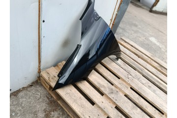 Guardabarros delantero izquierdo RENAULT MEGANE III 3 X95 10.08-09.16 