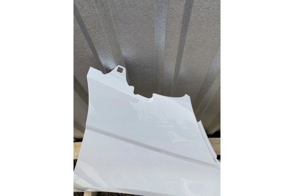 MUDGUARD RIGHT FRONT FIAT 500e 500 II 2 20R LACQUER 268A Car type passenger cars
