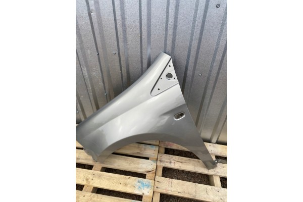 MUDGUARD LEFT FRONT FIAT BRAVO 198 II 2 02 07 06 16R LACQUER 272B Car type passenger cars
