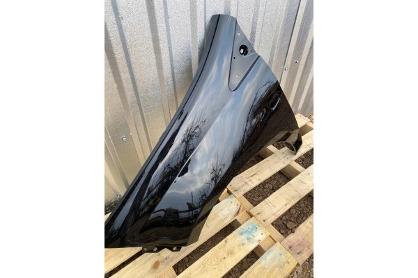 MUDGUARD LEFT FRONT FIAT BRAVO 198 II 2 02 07 06 16R LACQUER 819B Catalog number of the part BOTNIK LEWY PRZOD FIAT BRAVO 198 II