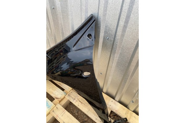MUDGUARD LEFT FRONT FIAT BRAVO 198 II 2 02 07 06 16R LACQUER 819B Part manufacturer Polcar
