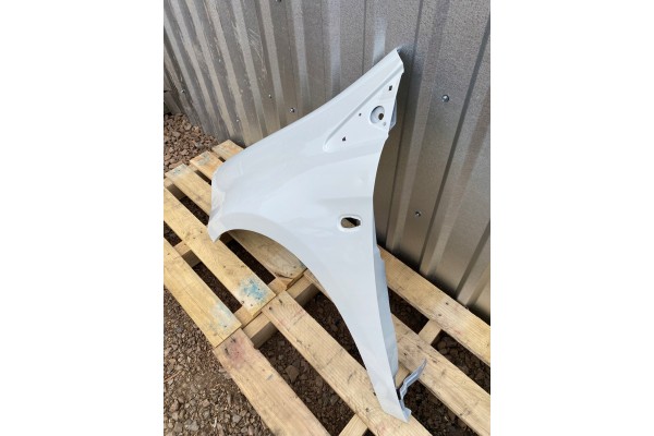 MUDGUARD LEFT FRONT FIAT BRAVO 198 II 2 02 07 06 16R LACQUER 296A Part manufacturer Polcar