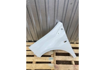 MUDGUARD LEFT FRONT FIAT BRAVO 198 II 2 02 07 06 16R LACQUER 296A Car type passenger cars