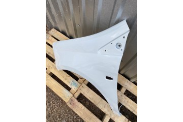 MUDGUARD LEFT FRONT FIAT BRAVO 198 II 2 02 07 06 16R LACQUER 296A Quality of parts according to GVO P replacement with original 