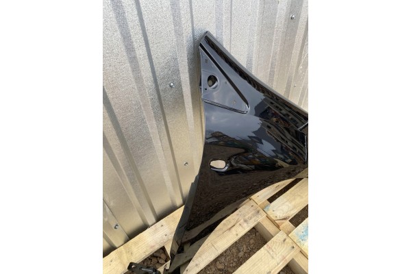 MUDGUARD RIGHT FRONT FIAT BRAVO 198 II 2 02 07 06 16R LACQUER 891B Installation side front right