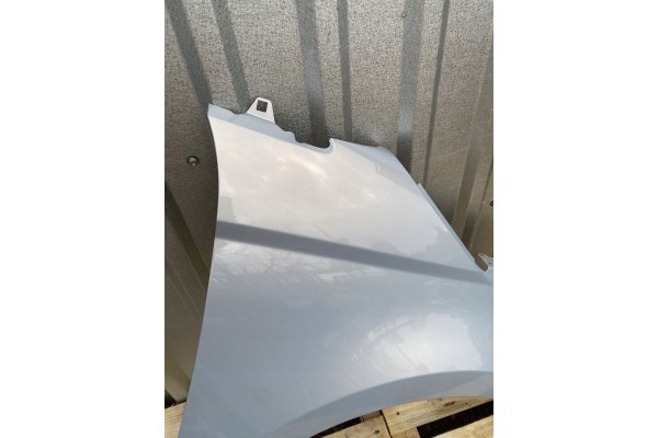 MUDGUARD RIGHT FRONT FIAT 500e 500 II 2 20R LACQUER 278B Part manufacturer Polcar