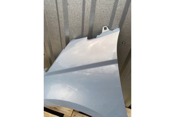 MUDGUARD LEFT FRONT FIAT 500e 500 II 2 20R LACQUER 278B Part manufacturer Polcar