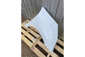 MUDGUARD RIGHT FRONT HONDA JAZZ FIT V 5 GR GS 10 19R HOLES LACQUER NH902P Car type passenger cars