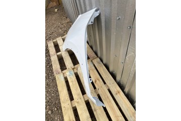 MUDGUARD LEFT FRONT HONDA JAZZ FIT V 5 GR GS 10 19R HOLES LACQUER NH883P Installation side front left