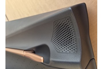 Paneles de Puerta de Cuero con LED para CUPRA TAVASCAN Juego Nuevo Ori