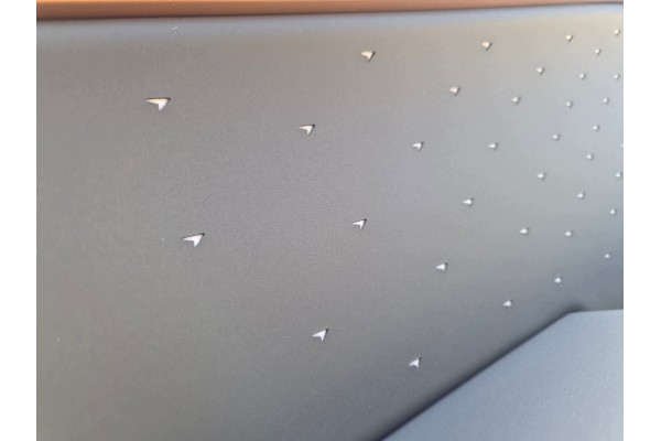 Paneles de Puerta de Cuero con LED para CUPRA TAVASCAN Juego Nuevo Ori