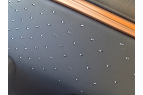 Paneles de Puerta de Cuero con LED para CUPRA TAVASCAN Juego Nuevo Ori
