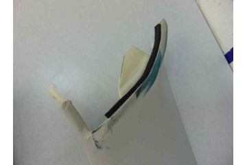 GRIS TECHO INTERIOR LEXUS IS (DS2/IS2) 250 V6 2007 GRIS 185089 LEXUS - 31