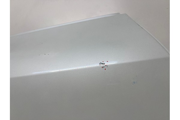 Puerta Trasera Derecha para Pasajero Tesla Model Y